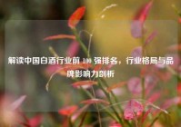 解读中国白酒行业前 100 强排名，行业格局与品牌影响力剖析