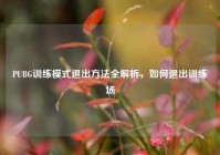 PUBG训练模式退出方法全解析，如何退出训练场