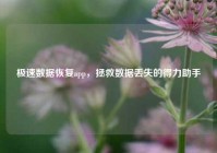 极速数据恢复app，拯救数据丢失的得力助手