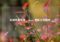 沉浸热血世界，Steam 单机士兵游戏