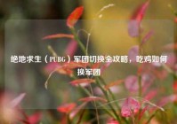 绝地求生（PUBG）军团切换全攻略，吃鸡如何换军团