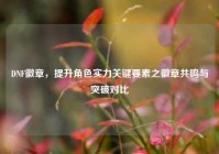 DNF徽章，提升角色实力关键要素之徽章共鸣与突破对比