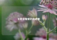 王者荣耀里的奇葩事
