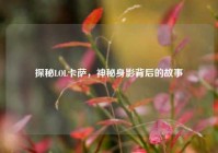 探秘LOL卡萨，神秘身影背后的故事