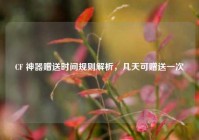 CF 神器赠送时间规则解析，几天可赠送一次