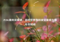 PUBG周年庆眼镜，游戏世界独特视觉盛宴与周年庆时间