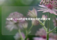 2013年，CSGO开启电竞新纪元的关键之年