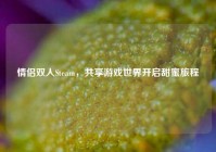 情侣双人Steam，共享游戏世界开启甜蜜旅程