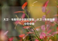 大卫·韦斯特谈中国完整版，大卫·韦斯特眼中的中国