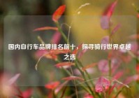 国内自行车品牌排名前十，探寻骑行世界卓越之选