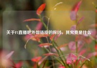 关于F1直播吧外部链接的探讨，其究竟是什么