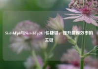 SketchUp8与SketchUp2018快捷键，提升建模效率的关键