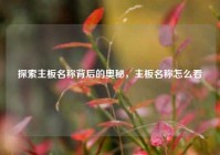 探索主板名称背后的奥秘，主板名称怎么看