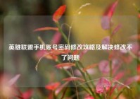 英雄联盟手机账号密码修改攻略及解决修改不了问题