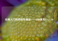 经典入门级四核处理器——AMD速龙II X4 740