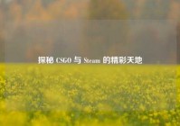 探秘 CSGO 与 Steam 的精彩天地