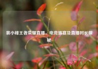 裴小峰王者荣耀直播，电竞盛宴及直播时长探秘