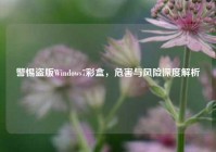 警惕盗版Windows7彩盒，危害与风险深度解析