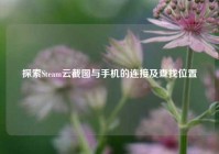 探索Steam云截图与手机的连接及查找位置