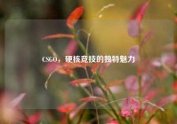 CSGO，硬核竞技的独特魅力