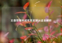 王者荣耀未成年实名制认证全解析