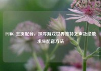 PUBG 主页配音，探寻游戏世界独特之声及绝地求生配音方法