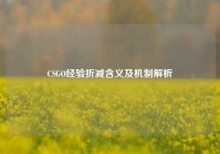 CSGO经验折减含义及机制解析