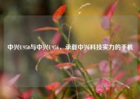 中兴U950与中兴U956，承载中兴科技实力的手机
