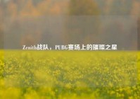 Zenith战队，PUBG赛场上的璀璨之星