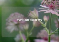 逆战的形成历程及定义