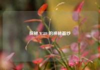 探秘 W589 的神秘面纱