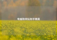电脑如何玩和平精英