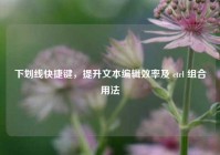 下划线快捷键，提升文本编辑效率及 ctrl 组合用法
