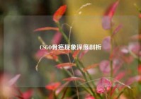 CSGO骨癌现象深度剖析