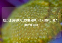 魅力绽放的实力女演员梅婷，个人资料、简介、图片及年龄