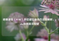 绝地求生（PUBG）开启键位显示方法全解析，pubg如何显示按键