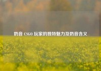 奶音 CSGO 玩家的独特魅力及奶音含义
