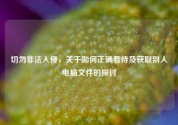 切勿非法入侵，关于如何正确看待及获取别人电脑文件的探讨