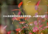 PUBG冻结微信申诉全流程指南，pubg解封申诉