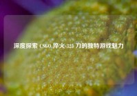深度探索 CSGO 淬火 323 刀的独特游戏魅力