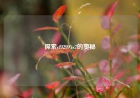 探索cf92995x7的奥秘