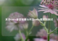 关于COD16是否需要分开及COD16情况的探讨
