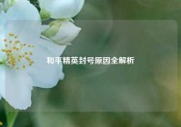 和平精英封号原因全解析