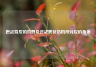 逆战背后的妈妈及逆战奶爸奶妈所对应的角色
