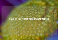 CSGO 中 SIG.T 的独特魅力与战术价值