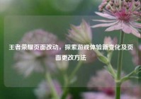 王者荣耀页面改动，探索游戏体验新变化及页面更改方法