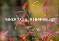 电脑K歌软件大比拼，哪个是你的心仪之选？