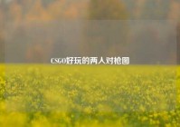 CSGO好玩的两人对枪图