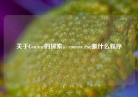 关于Conime的探索，conime.exe是什么程序