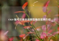 CSGO 账号注册全流程指南及官网介绍